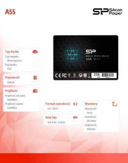 Dysk SSD Ace A55 256GB 2,5