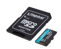 Karta microSD 128GB Canvas Go Plus 170/90MB/s Adapter