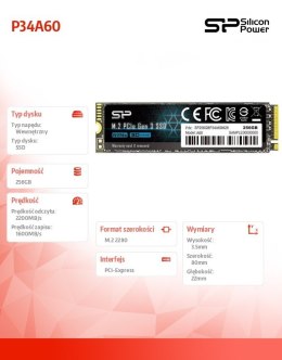 Dysk SSD A60 256GB M.2 PCIe 2200/1600 MB/s NVMe