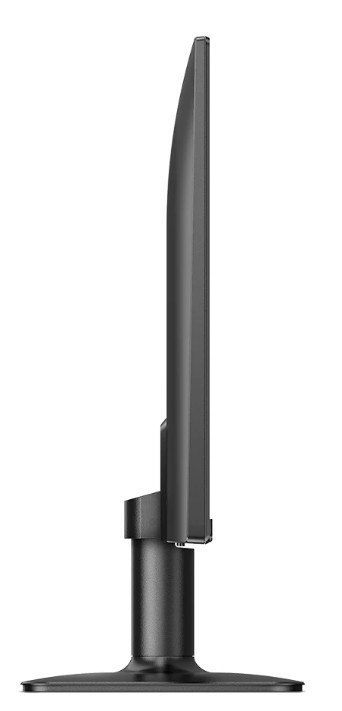 Monitor 24E2N1100LB VA 100Hz HDMI VGA Monitor 24E2N1100LB VA 100Hz HDMI VGA